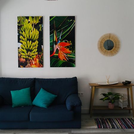 Macaronesia Home Санта Крус де Тенерифе Екстериор снимка